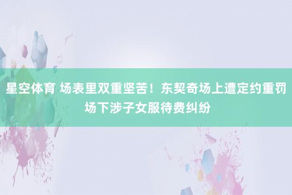 星空体育 场表里双重坚苦！东契奇场上遭定约重罚 场下涉子女服待费纠纷