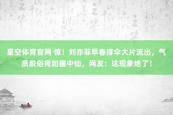 星空体育官网 惊！刘亦菲早春撑伞大片流出，气质脱俗宛如画中仙，网友：这现象绝了！