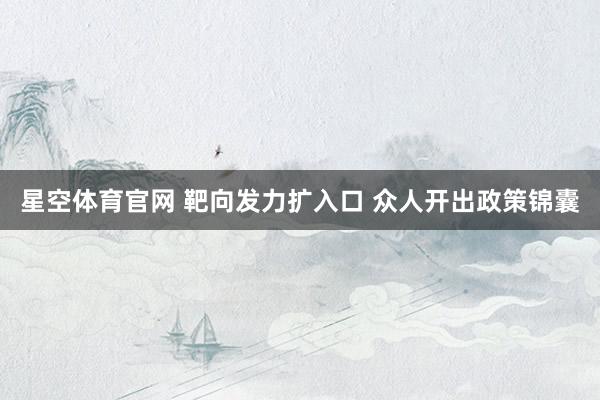 星空体育官网 靶向发力扩入口 众人开出政策锦囊