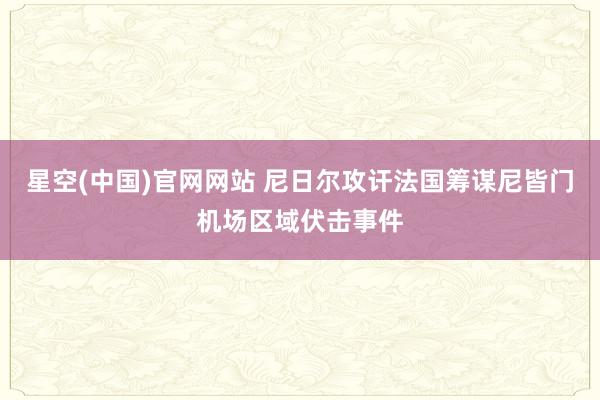 星空(中国)官网网站 尼日尔攻讦法国筹谋尼皆门机场区域伏击事件