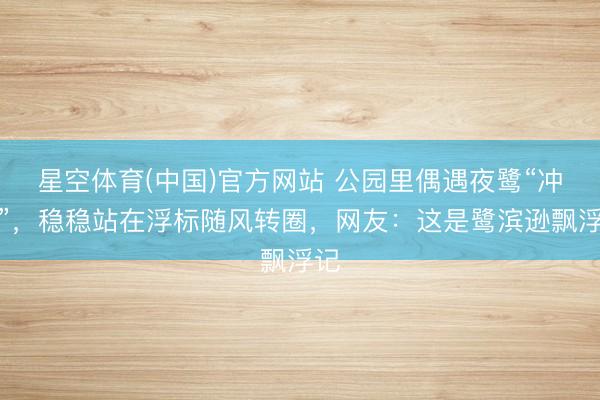 星空体育(中国)官方网站 公园里偶遇夜鹭“冲浪”，稳稳站在浮标随风转圈，网友：这是鹭滨逊飘浮记