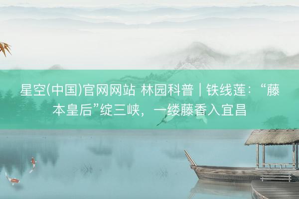星空(中国)官网网站 林园科普 | 铁线莲：“藤本皇后”绽三峡，一缕藤香入宜昌