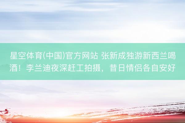 星空体育(中国)官方网站 张新成独游新西兰喝酒！李兰迪夜深赶工拍摄，昔日情侣各自安好