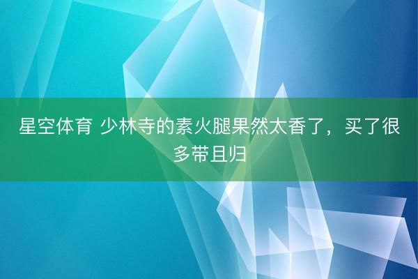 星空体育 少林寺的素火腿果然太香了，买了很多带且归