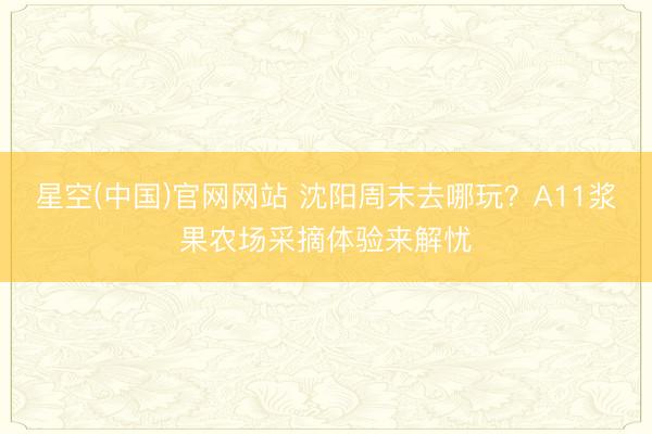 星空(中国)官网网站 沈阳周末去哪玩？A11浆果农场采摘体验来解忧