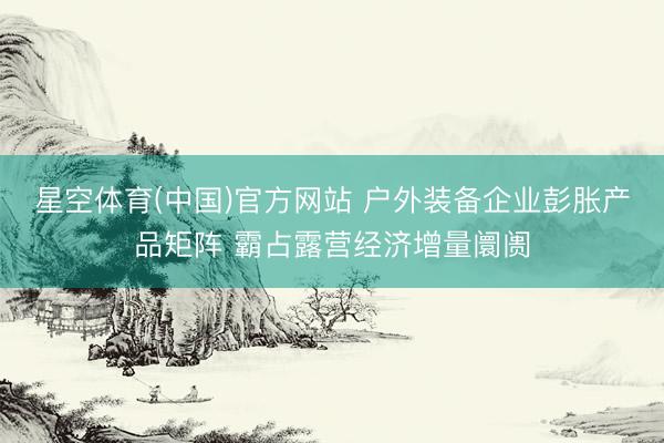 星空体育(中国)官方网站 户外装备企业彭胀产品矩阵 霸占露营经济增量阛阓