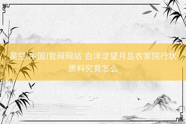 星空(中国)官网网站 白洋淀望月岛农家院行状质料究竟怎么