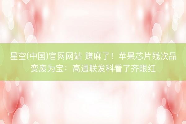 星空(中国)官网网站 赚麻了！苹果芯片残次品变废为宝：高通联发科看了齐眼红