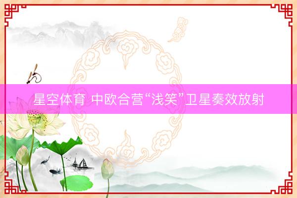 星空体育 中欧合营“浅笑”卫星奏效放射