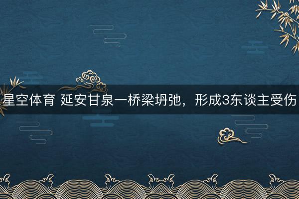 星空体育 延安甘泉一桥梁坍弛，形成3东谈主受伤
