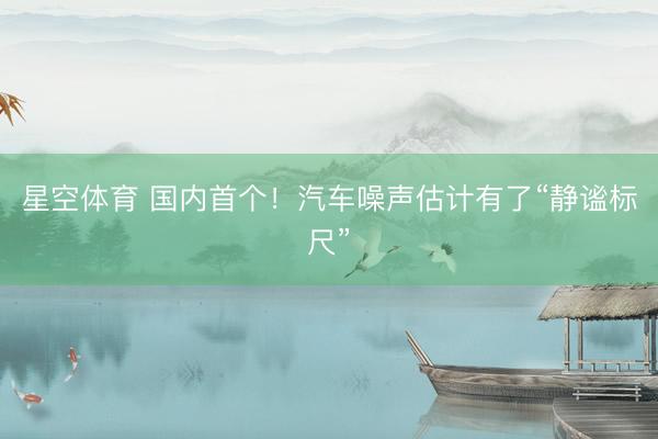 星空体育 国内首个！汽车噪声估计有了“静谧标尺”