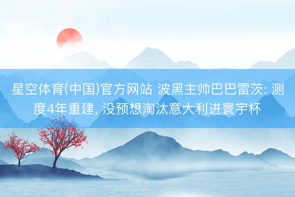 星空体育(中国)官方网站 波黑主帅巴巴雷茨: 测度4年重建， 没预想淘汰意大利进寰宇杯